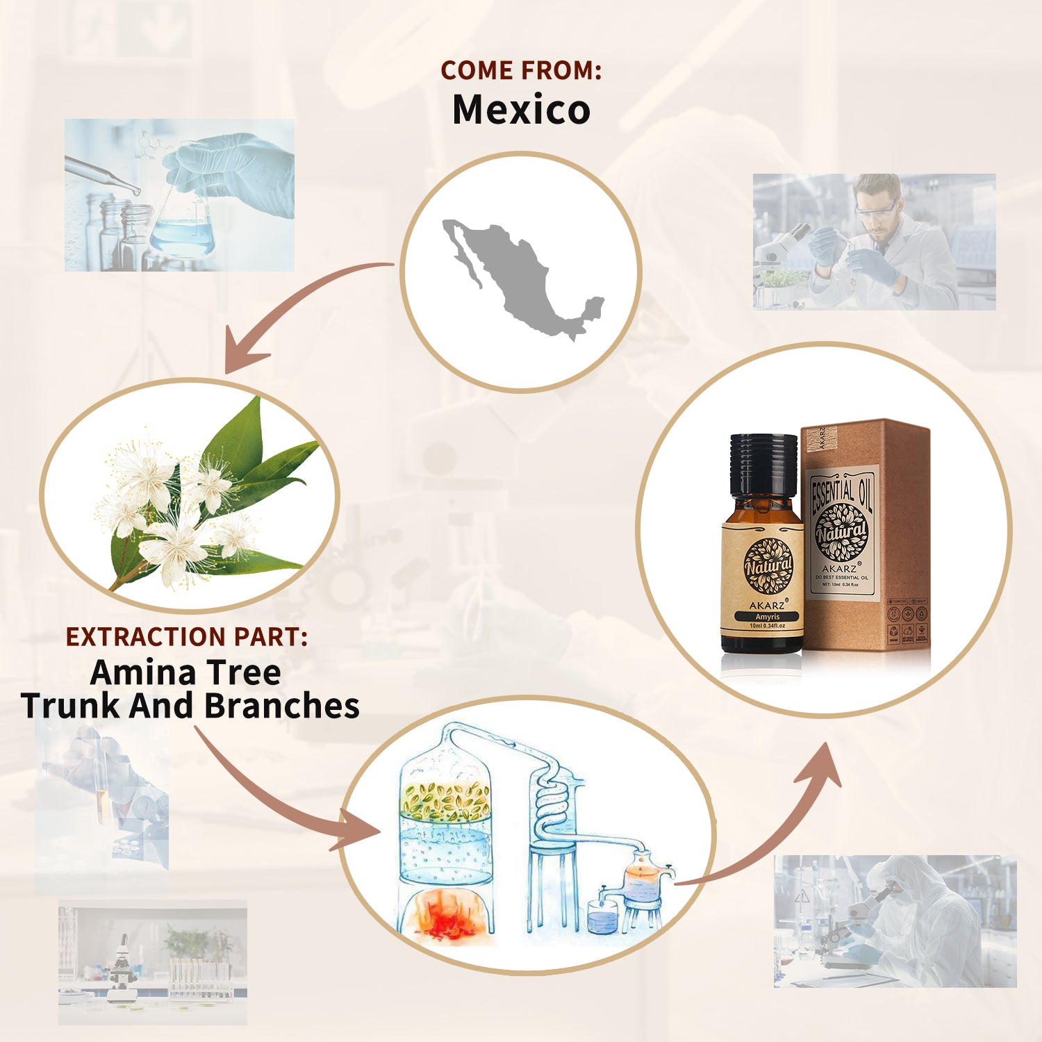 Amyris Essential Oil AKARZ Natural And Pure ( 30ML 100ML)
