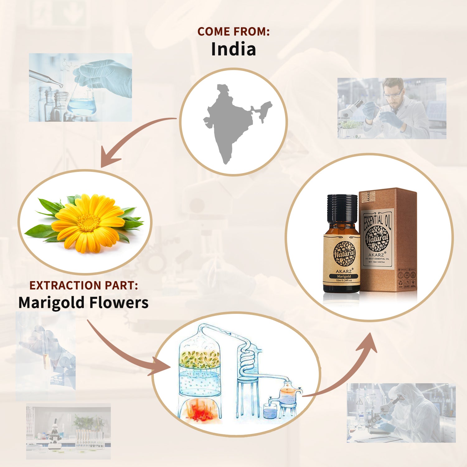 Marigold Essential Oil AKARZ Natural And Pure ( 30ML 100ML)