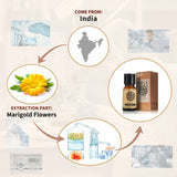 Marigold Essential Oil AKARZ Natural And Pure ( 30ML 100ML)