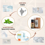 Spearmint Essential Oil AKARZ Natural And Pure (30ML 100ML )