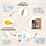 Ylang Ylang Essential Oil AKARZ Natural And Pure (30ML 100ML )