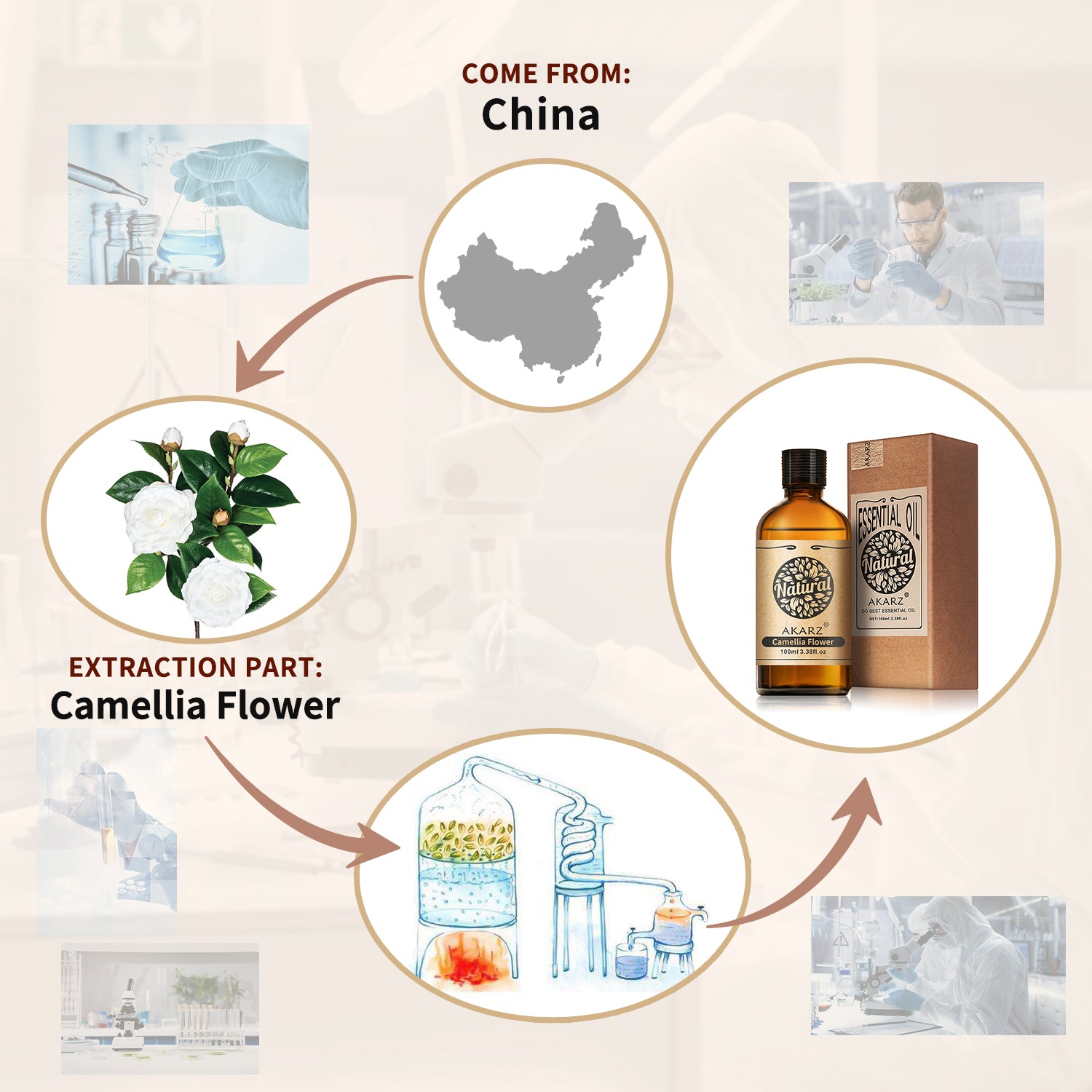 Camellia Flower Essential Oil AKARZ Natural And Pure ( 30ML 100ML)