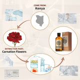 Carnation Essential Oil AKARZ Natural And Pure (30ML 100ML )