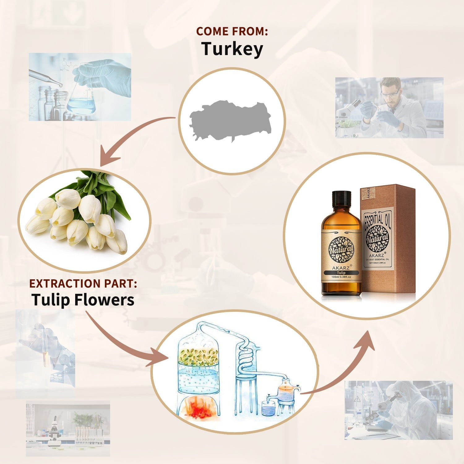 Tulip Essential Oil AKARZ Natural And Pure  ( 30ML 100ML )