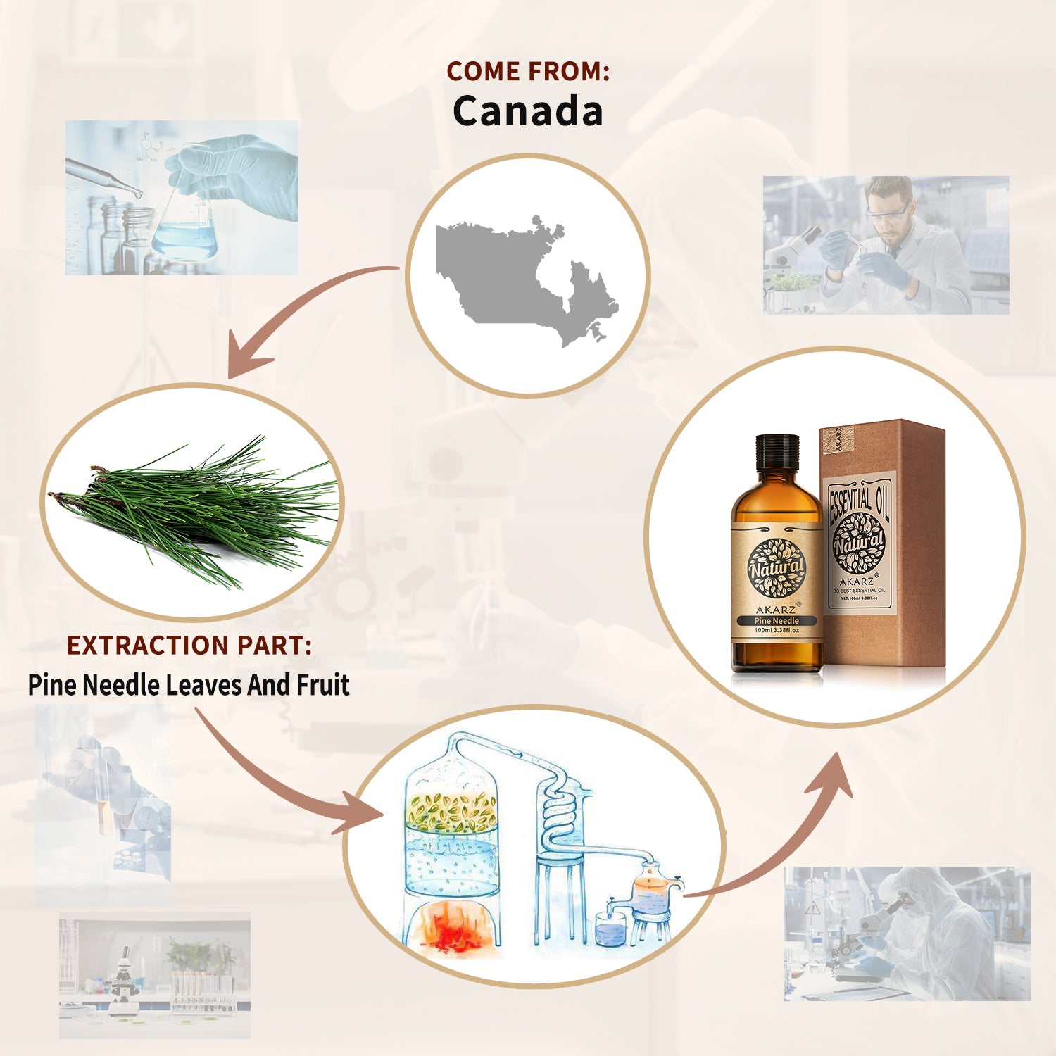 AKARZ Pine Needle Essential Oil Natural And Pure ( 30ML 100ML)