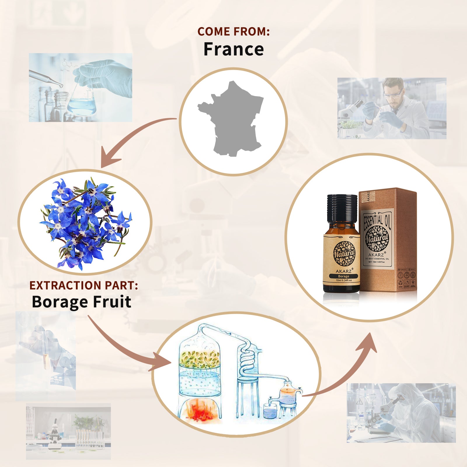 AKARZ DIY Massage Aroma Borage Oil - Repair Healthy Skin Base Carrier Oil - Relieve Dermatitis Symptoms - Elastic & Radiant Skin – France