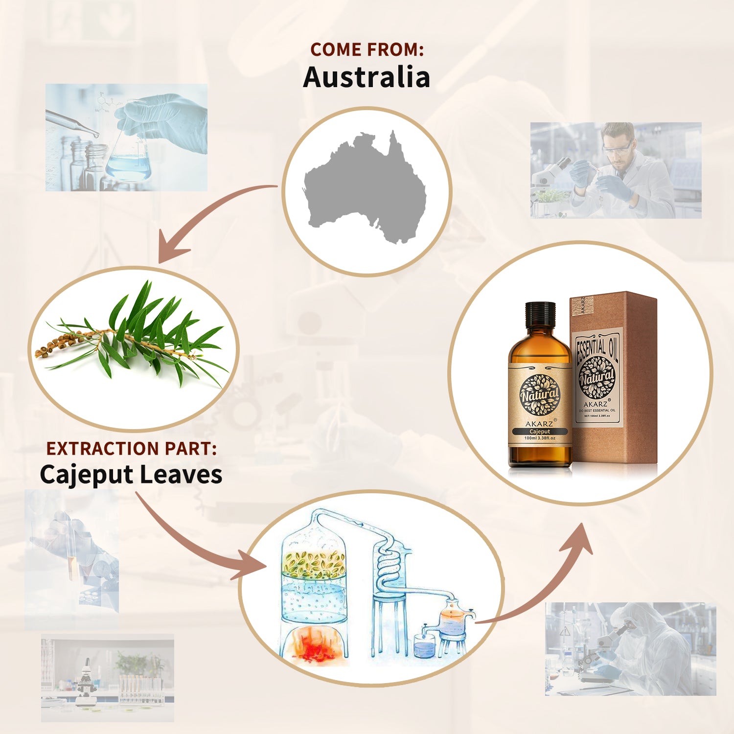 Cajeput Essential Oil AKARZ Natural And Pure (30ML 100ML )