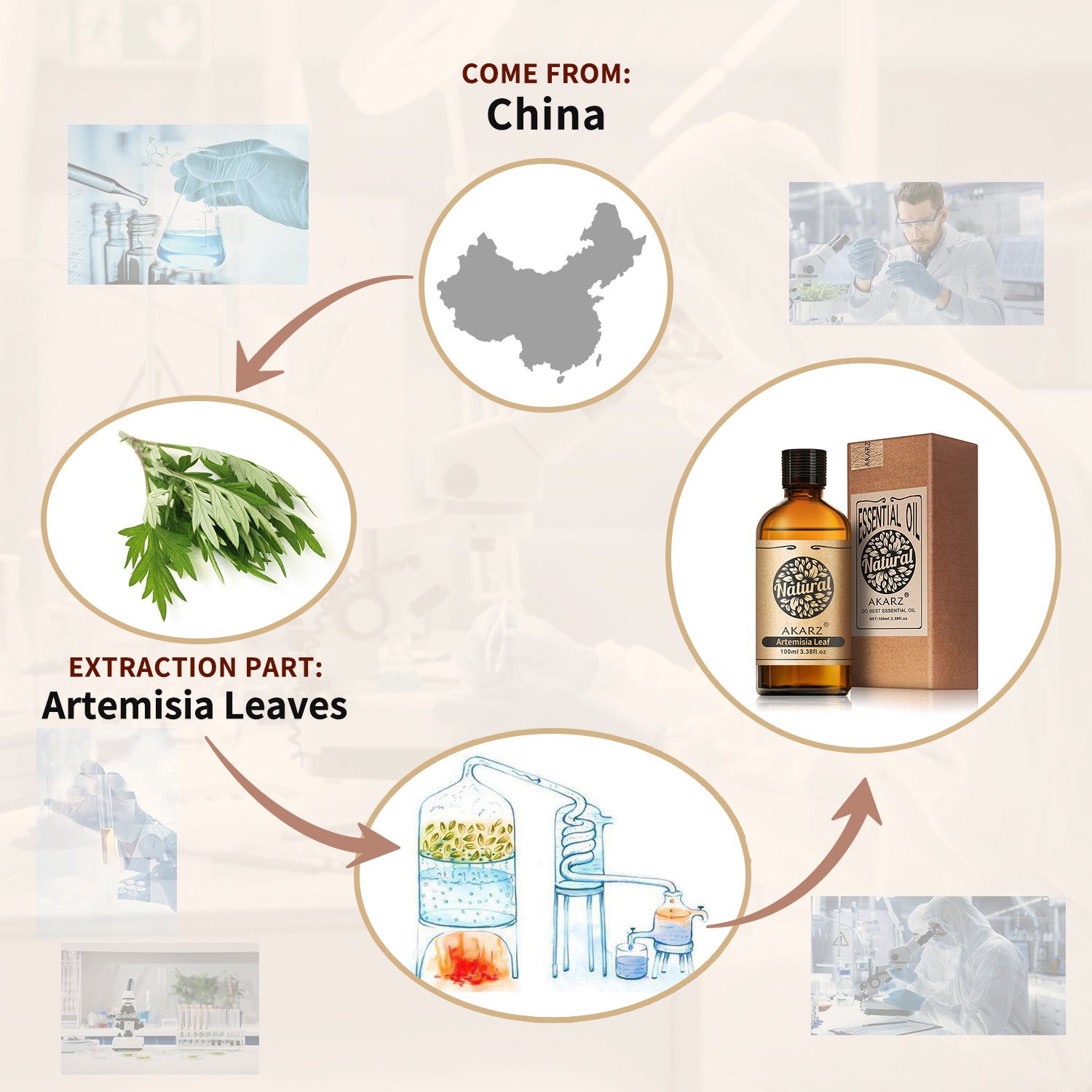 Artemisia Leaf Essential Oil AKARZ Natural And Pure ( 30ML 100ML )