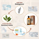 Ravensara Essential Oil AKARZ Natural And Pure ( 30ML 100ML)