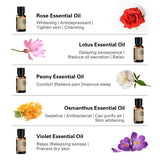 AKARZ Flower Serie 10 Sets Lavender Jasmine Rose Ylang Neroli Frangipani Lotus Peony Osmanthus Violet Essential Oil for Diffuser