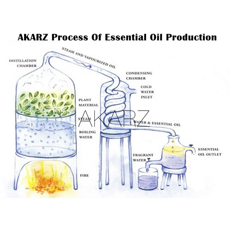 AKARZ Hots 10 Sets Sandalwood,Musk,Lavender,Jasmine,Rose,Patchouli,Ylang Ylang,Vanilla,Eucalyptus,Myrrh Essential Oil Diffuser