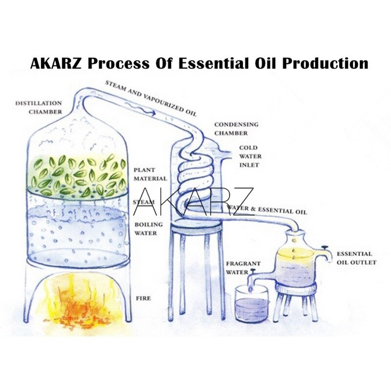 AKARZ Flower Serie 10 Sets Lavender Jasmine Rose Ylang Neroli Frangipani Lotus Peony Osmanthus Violet Essential Oil for Diffuser