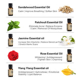 AKARZ Hots 5 Sets Tea Tree,Sandalwood,Patchouli,Jasmine,Rose ,Ylang Ylang Essential Oil 10ml*5