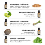 AKARZ Hots 10 Sets Tea Tree,Sandalwood,Peppermint,Frankincense,Musk,LemonGrass,Rosemary,Oregano,Bergamot,Vetiver Essential Oil 10ml*10