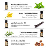 AKARZ Hots 10 Sets Sandalwood,Musk,Lavender,Jasmine,Rose,Patchouli,Ylang Ylang,Vanilla,Eucalyptus,Myrrh Essential Oil Diffuser