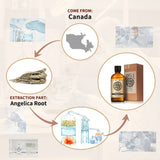 Angelica Essential Oil AKARZ Natural And Pure ( 30ML 100ML)