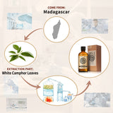 White Camphor Essential Oil AKARZ Natural And Pure (30ML 100ML )