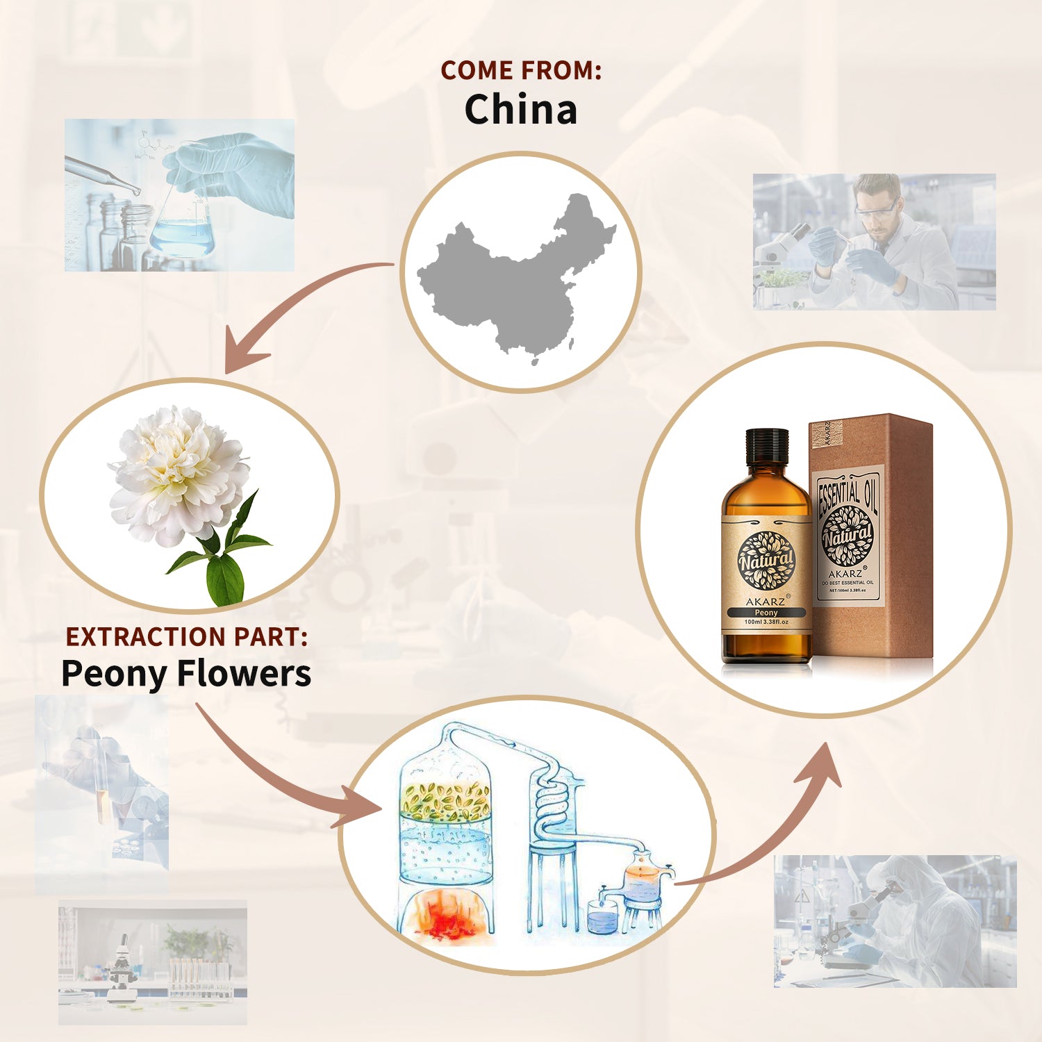 Peony Essential Oil AKARZ Natural And Pure (30ML 100ML)