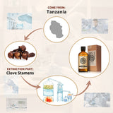 Clove Essential Oil AKARZ Natural And Pure (30ML 100ML )