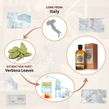 Laurel Essential Oil AKARZ Natural And Pure ( 30ML 100ML )