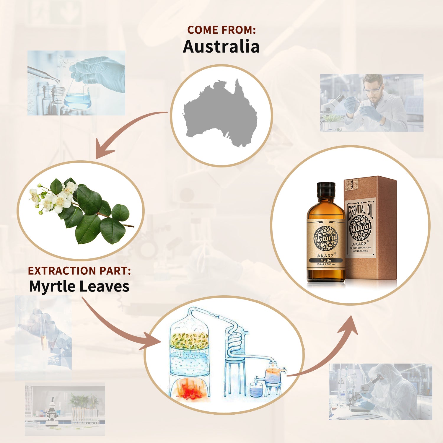 Myrtle Essential Oil AKARZ Natural And Pure (30ML 100ML )