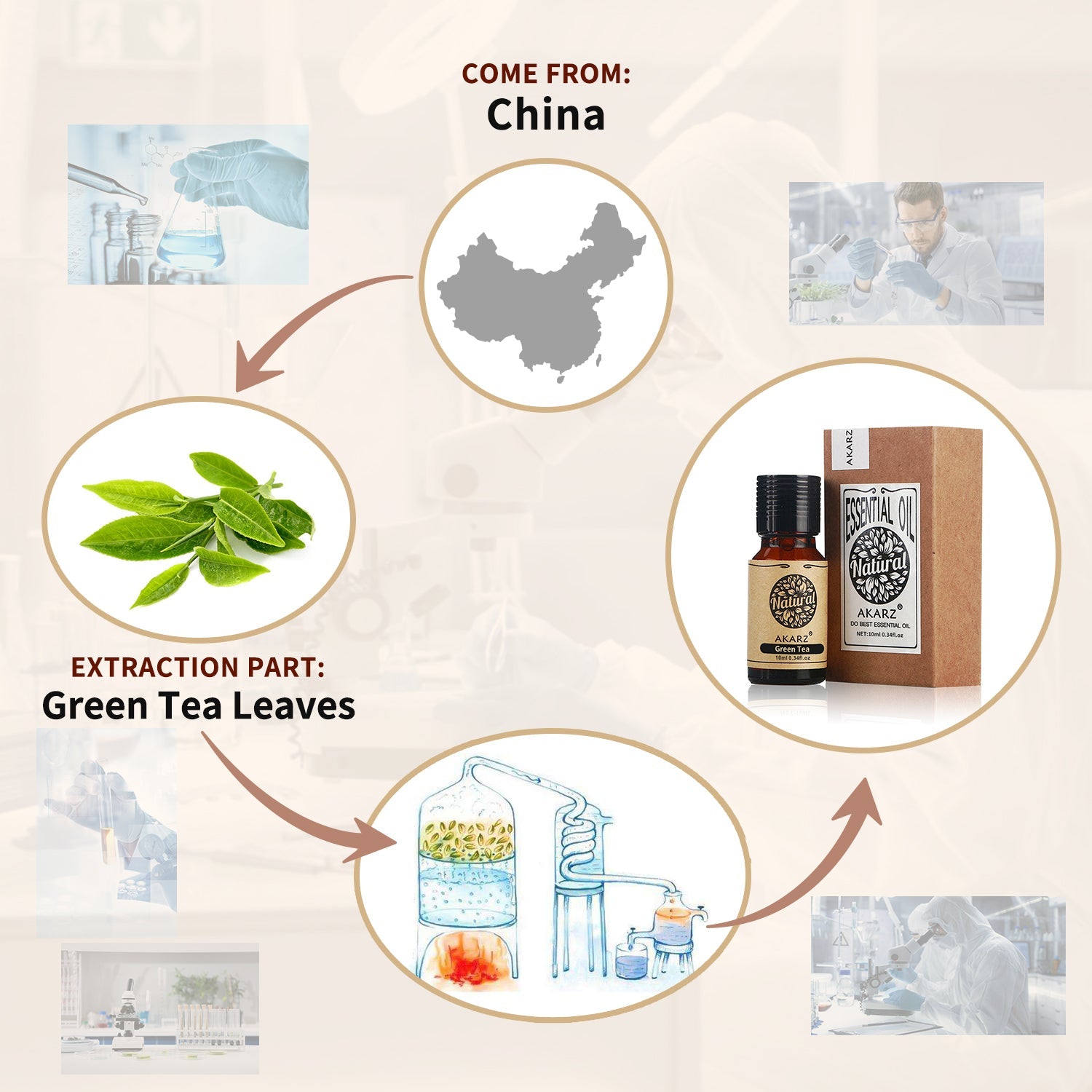 Green Tea Essential Oil AKARZ Natural And Pure ( 30ML 100ML )