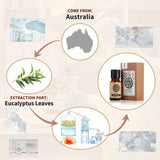 Eucalyptus Essential Oil AKARZ Natural And Pure ( 30ML 100ML )