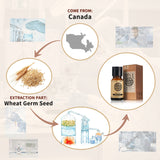 Wheat Germ Base Oil / Carrier Oil AKARZ Natural 10ML 30ML 100ML