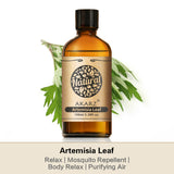 Artemisia Leaf Essential Oil AKARZ Natural And Pure ( 30ML 100ML )