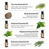AKARZ Hots Serie 5 Tea Tree,Musk,Patchouli,Peppermint,Rosemary Essential Oil  10ml*5