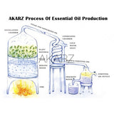 AKARZ Hots Serie 5 Musk,Sandalwood,Lavender,Jasmine,Rose Essential Oil 10ml*5
