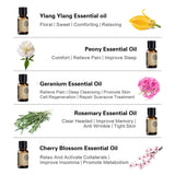 AKARZ Flower Serie 5 Sets Ylang ,Peony,Geranium,Rosemary,Cherry Blossom  Essential Oil 10ml*5
