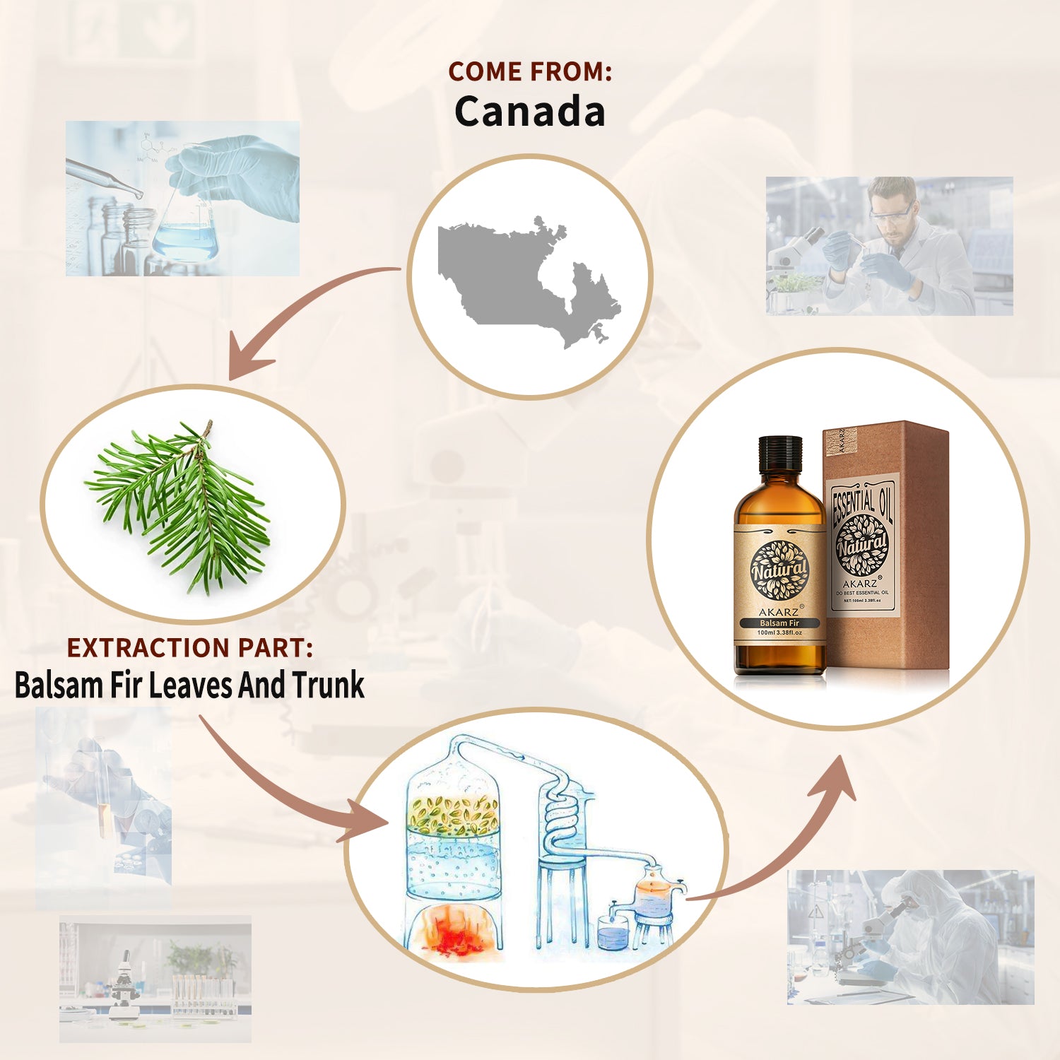 Balsam Fir Essential Oil AKARZ Natural And Pure ( 30ML,100ML )